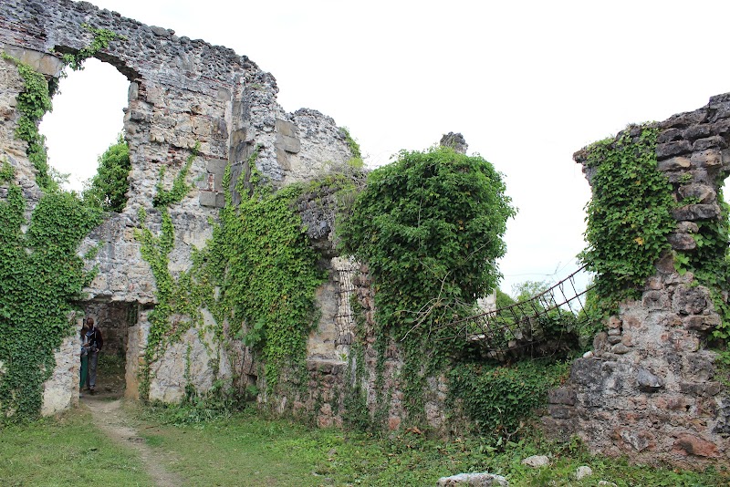 შერვაშიძეების საგვარეულო სასახლე