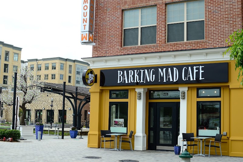 Barking Mad photo 1