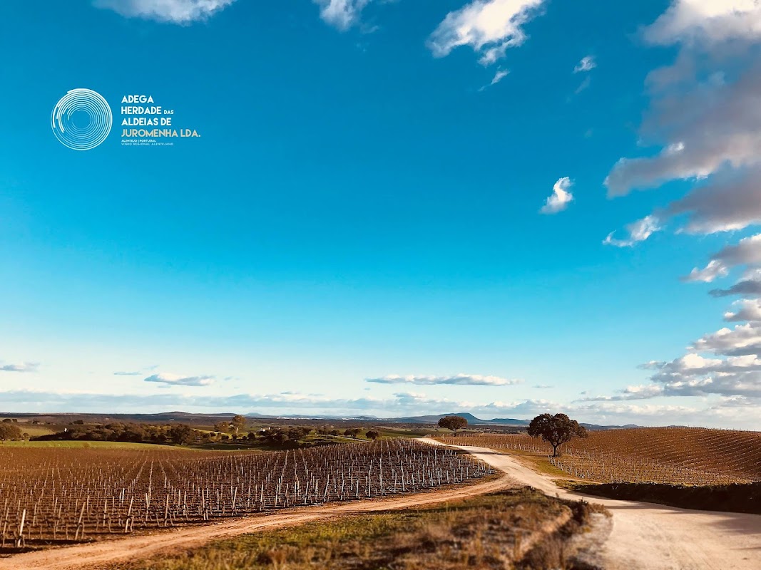 Adega Herdade das Aldeias de Juromenha
