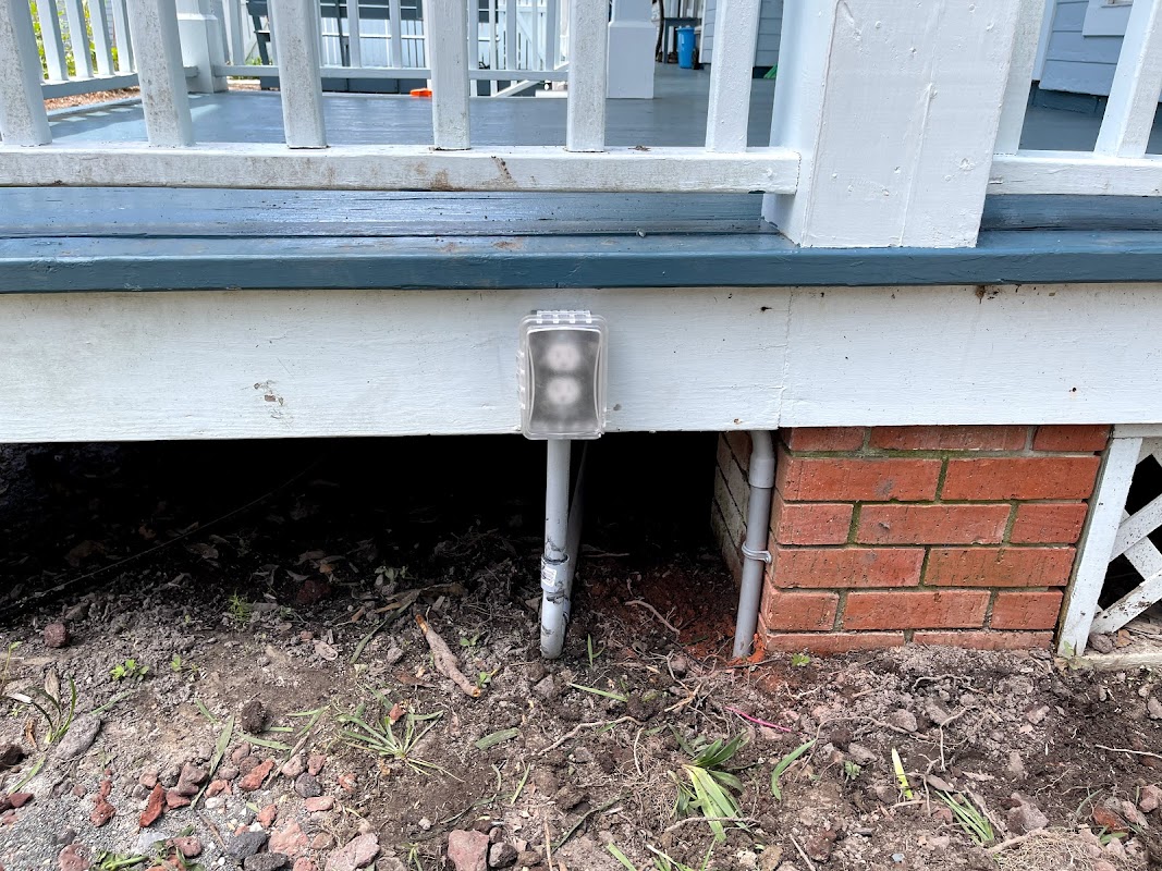 Wasp Electric project 4