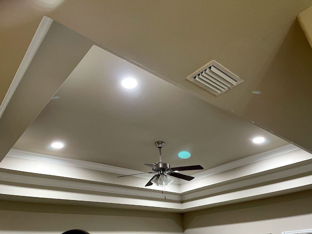 Wasp Electric project 2