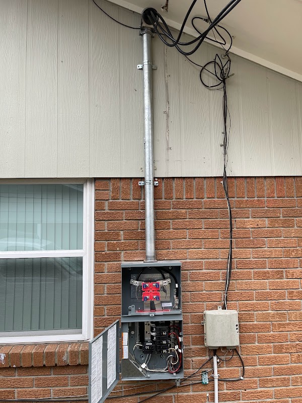 Wasp Electric project 3