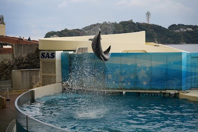 Enoshima Aquarium - 5