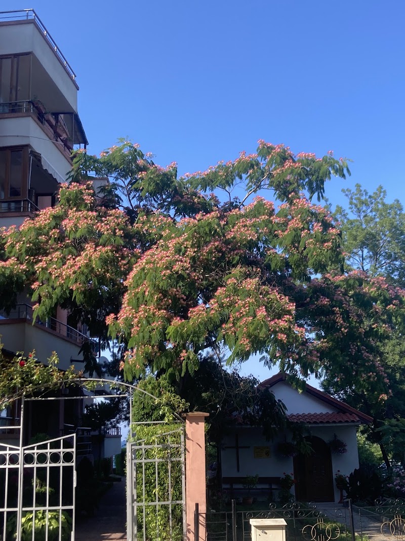 Родник (чешма)