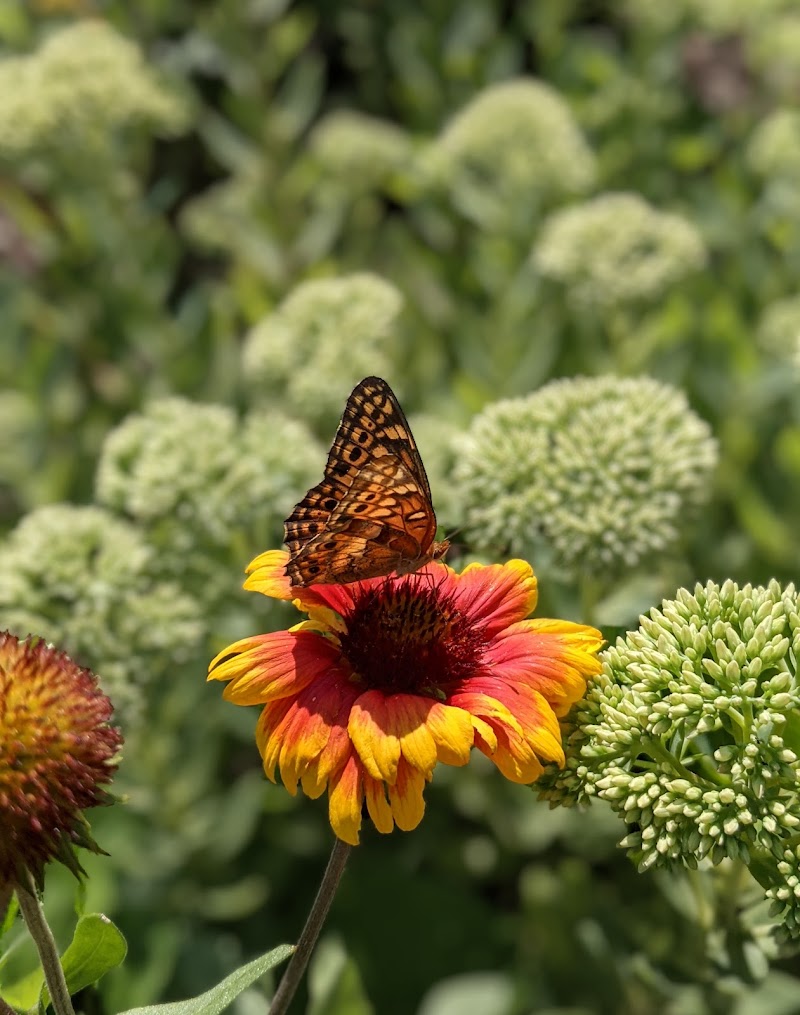 Lavender Fields at Warrington Manor LLC photo 4