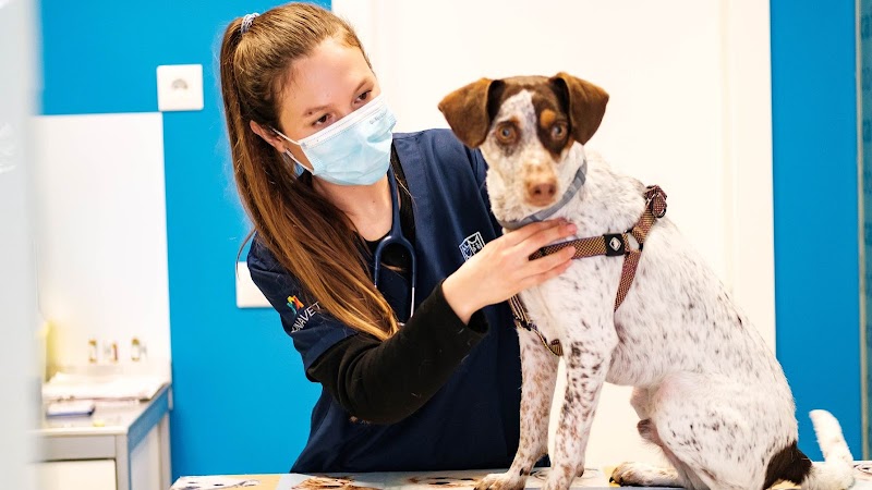 Centro Veterinario Catdog Gines