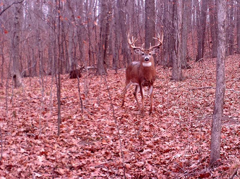 Turtle Creek Outfitters, LLC - Photo 1