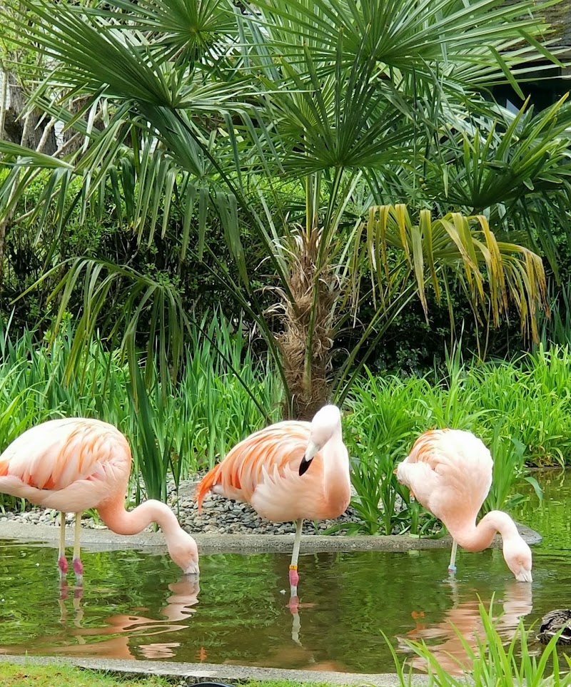 Wildlife Safari - Photo 4