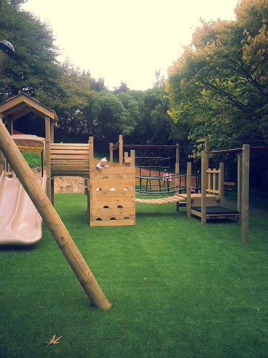 Vice Regal Park Playground fotoğraf 1