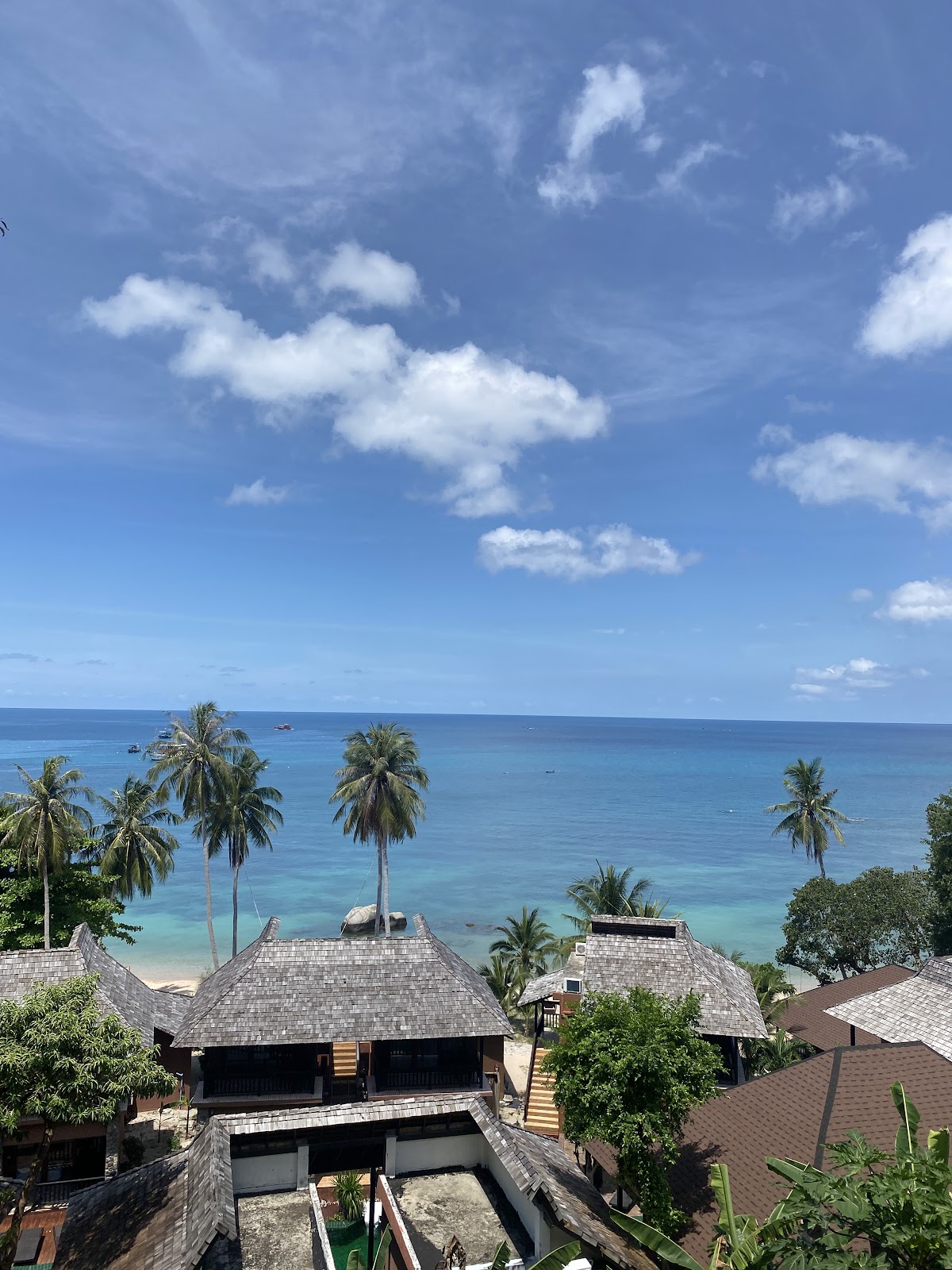 Blue Chitta — 4