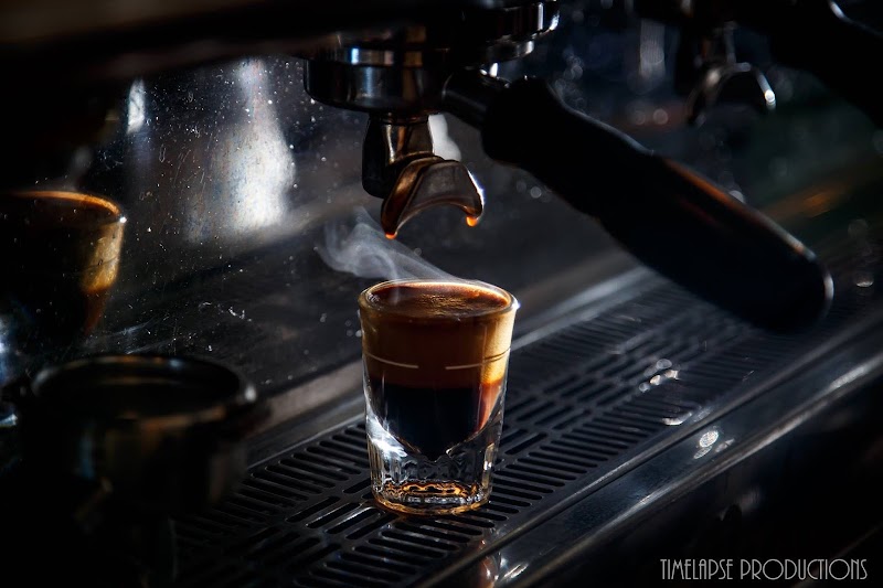 Timber Coffee Co. Sylvan Lake photo 2