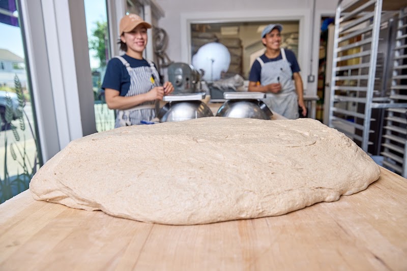 Kneads photo 4