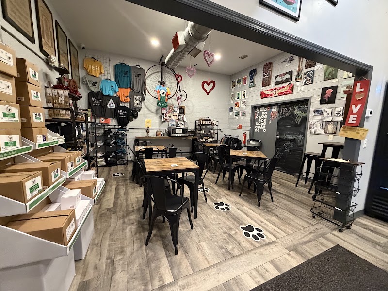 Black Cat Coffee photo 1