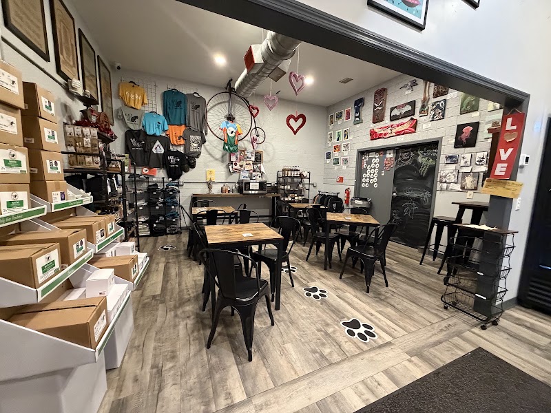 Black Cat Coffee photo 1