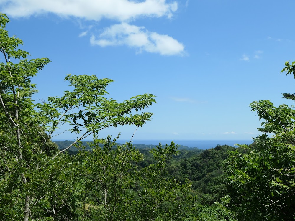 内浦山県民の森 オートキャンプ場