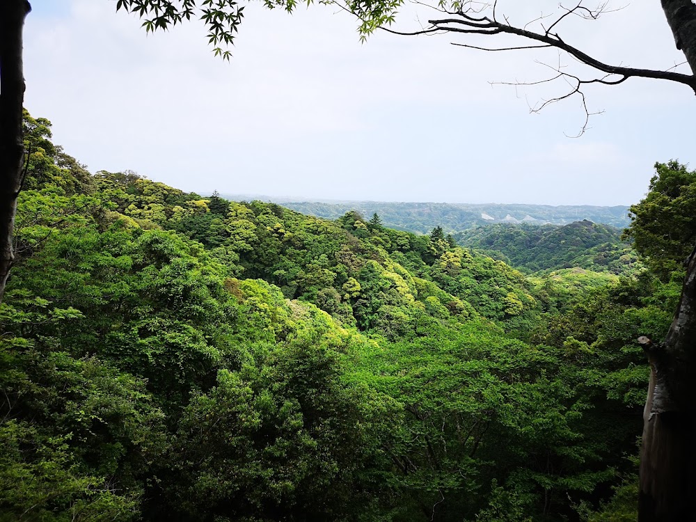 内浦山県民の森 オートキャンプ場