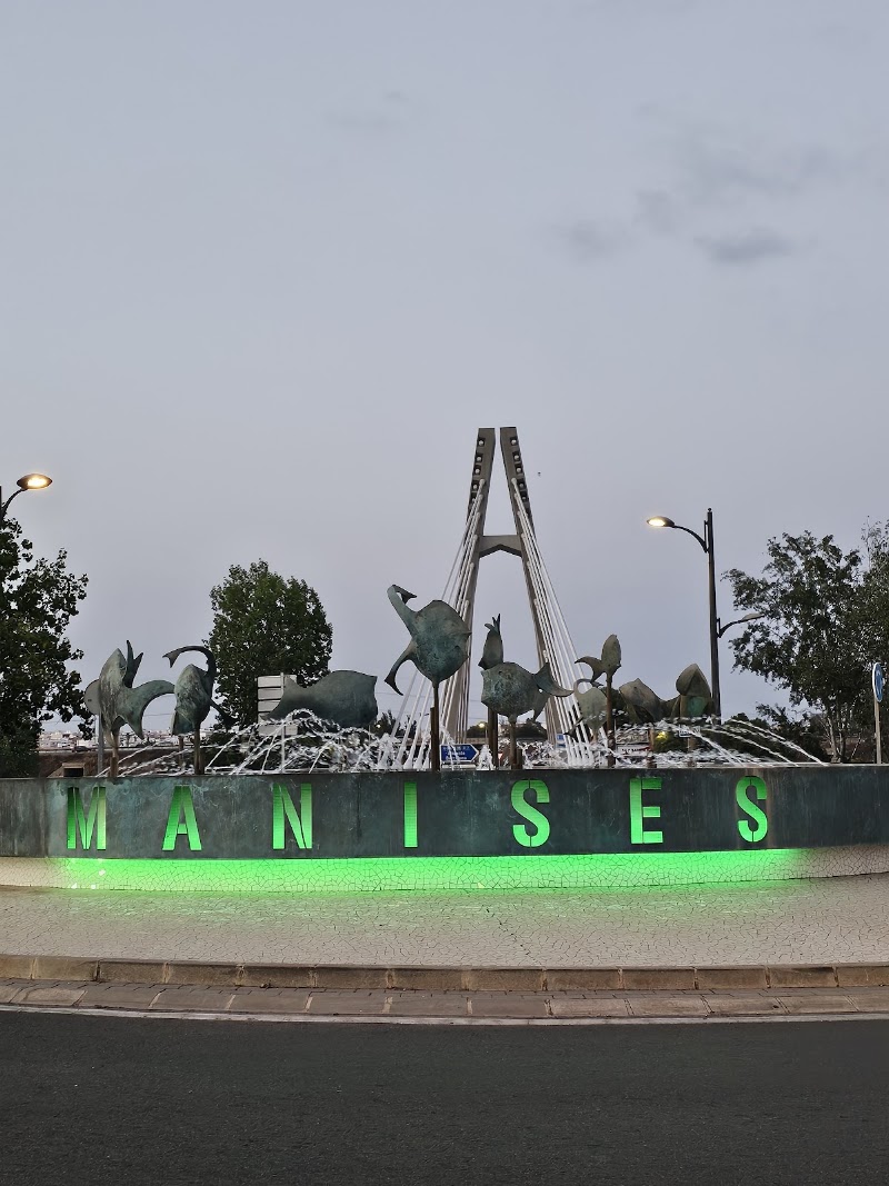 Fuente peces Manises