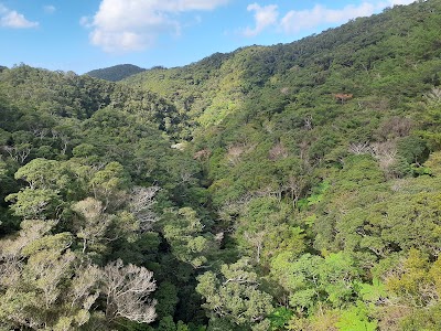 Yambaru National Park - 2