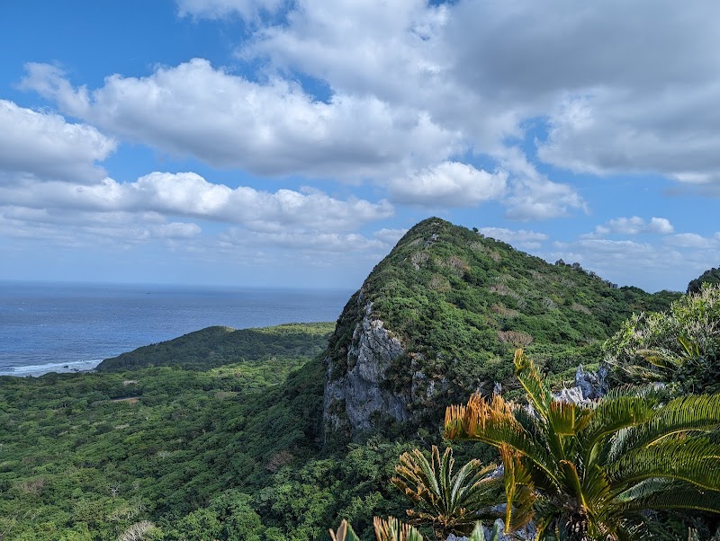 Yambaru National Park