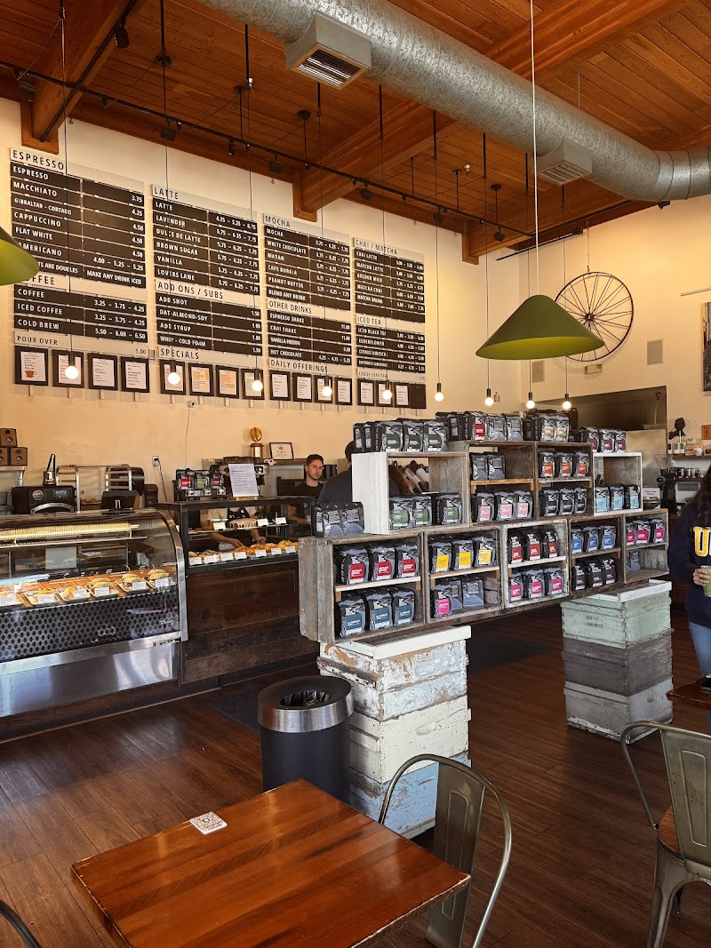 Black Oak Coffee Roasters photo 2