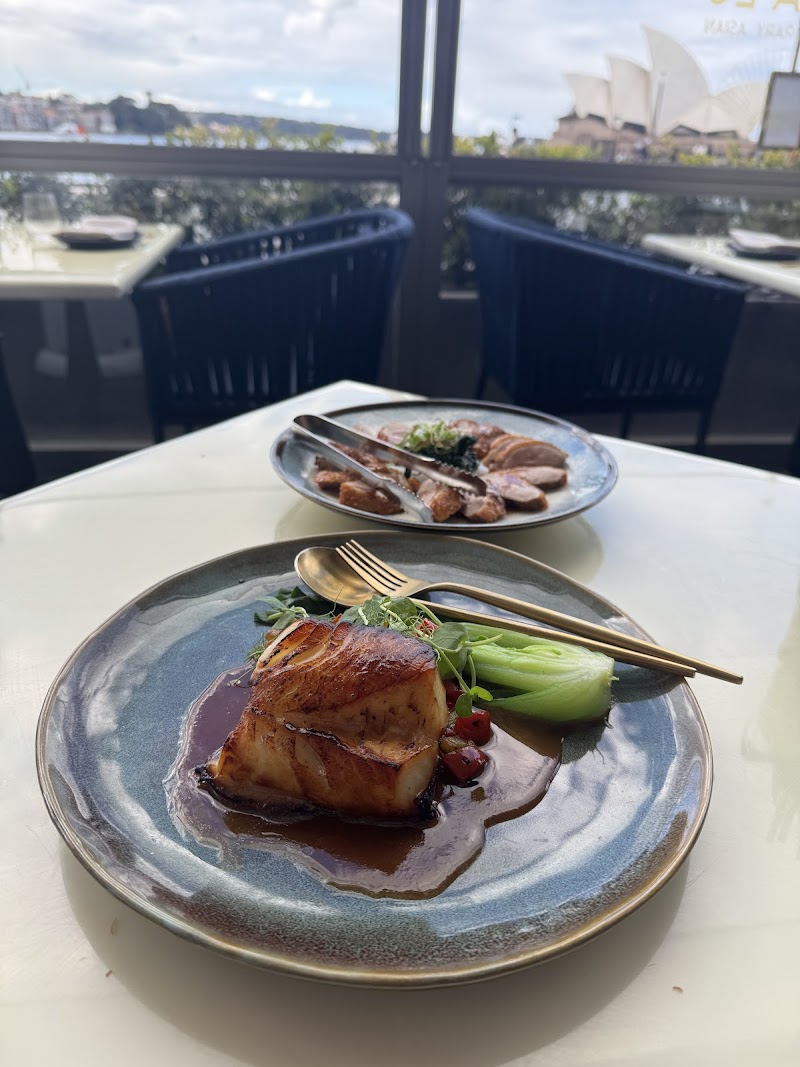 Luna Lu - Asian Fusion, The Rocks photo 9