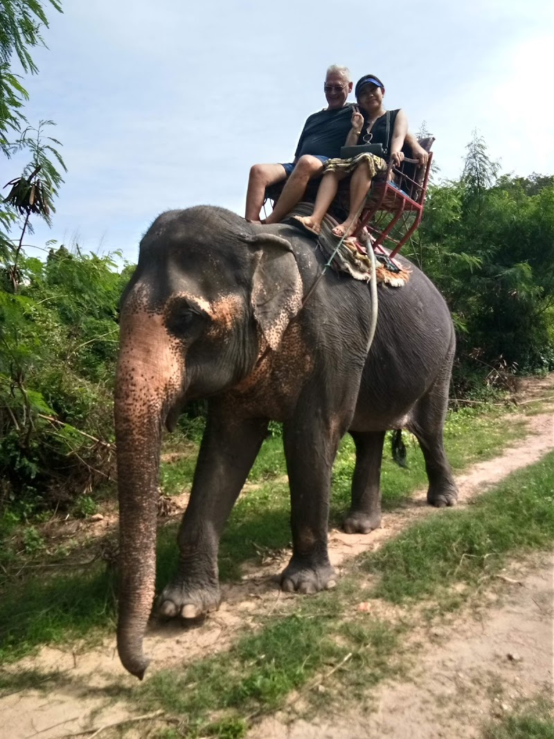 Elephant Village, Hua Hin