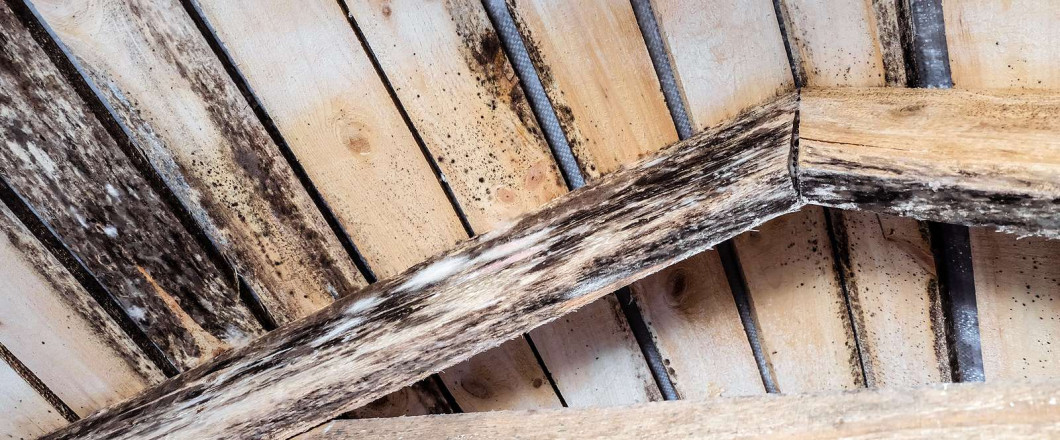 Progressive Mold, LLC — photo