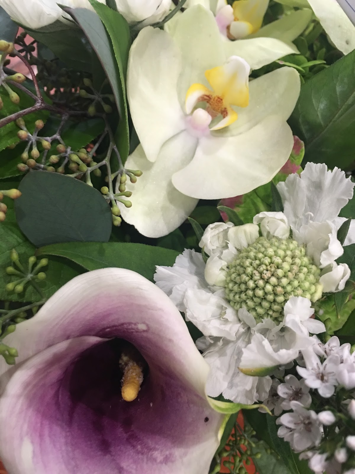 Urban Flowers: Google Places image 2