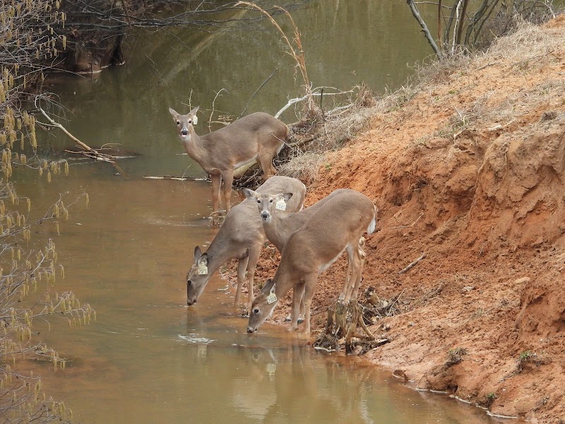 WISHBONE RANCH - Photo 2
