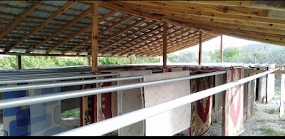 Bi̇lgi̇n Hali Yikama - Temizlik