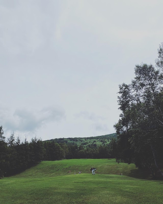 Sugadaira Green Golf - Photo 3
