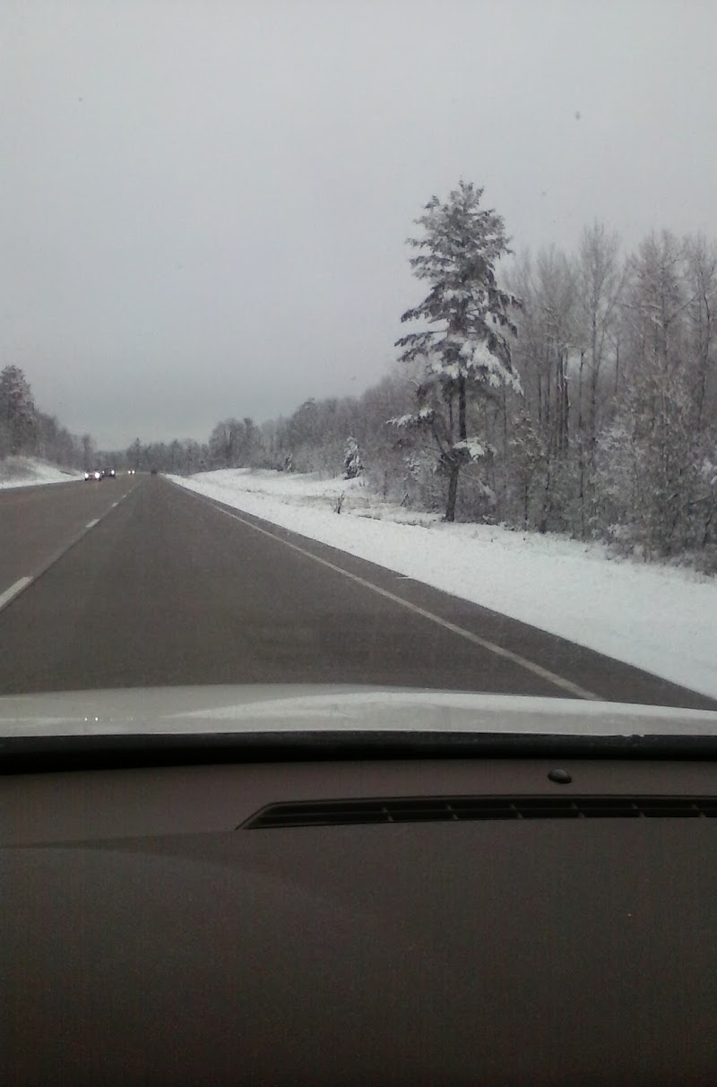 Forest of Antlers - Photo 2
