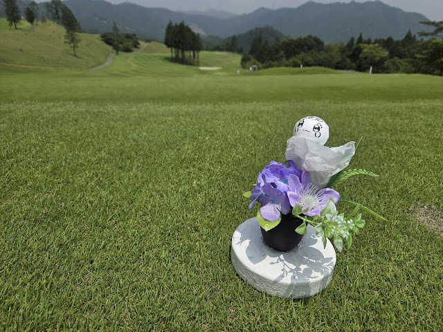Ashikaga Country Club Toko Course - Photo 9