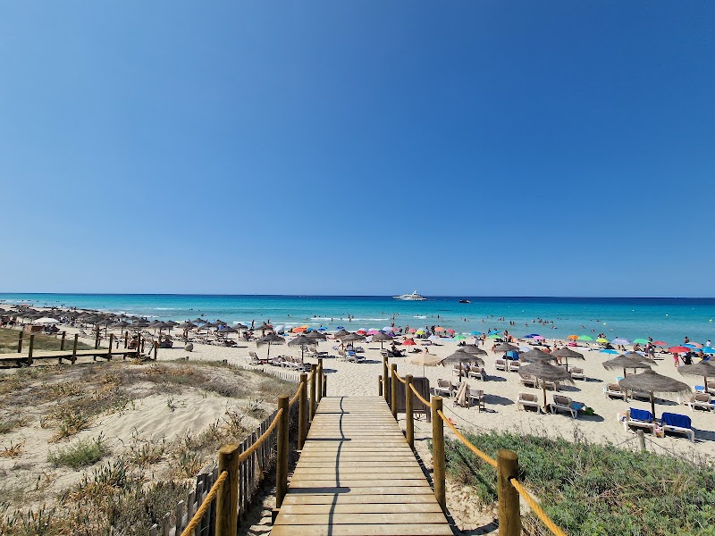 Playa Los Arenales