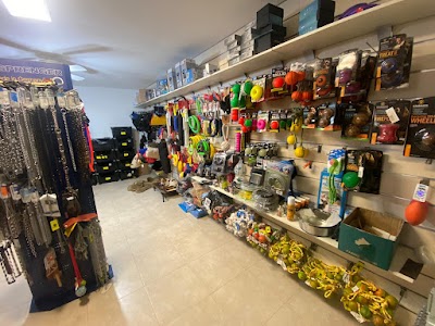 DogTrain דוגטריין מערכות אילוף מתקדמות לכלבים