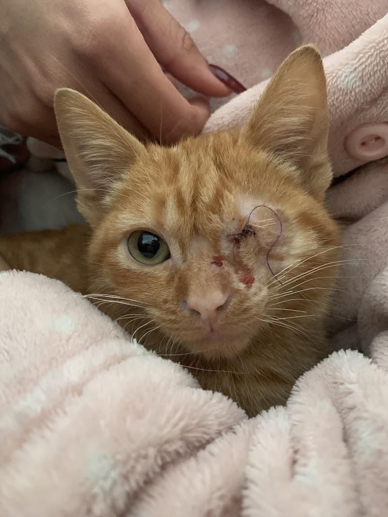 Clínica Veterinaria Burjassot