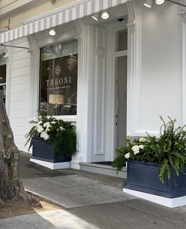 Theoni Collection Lifestyle Event Rentals portfolio
