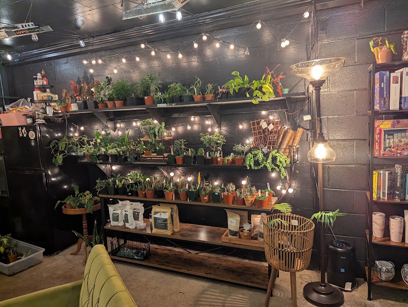 Ivy Terra Plant Cafe photo 4