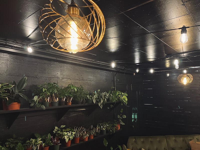 Ivy Terra Plant Cafe photo 1