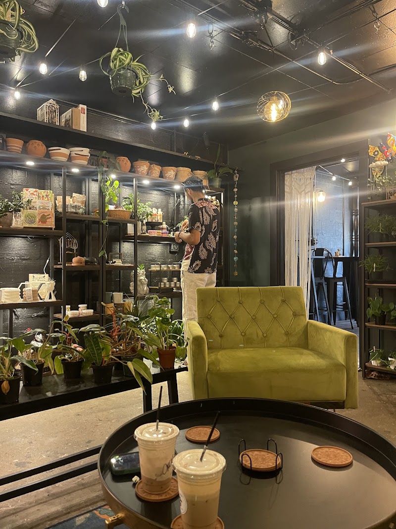 Ivy Terra Plant Cafe photo 4