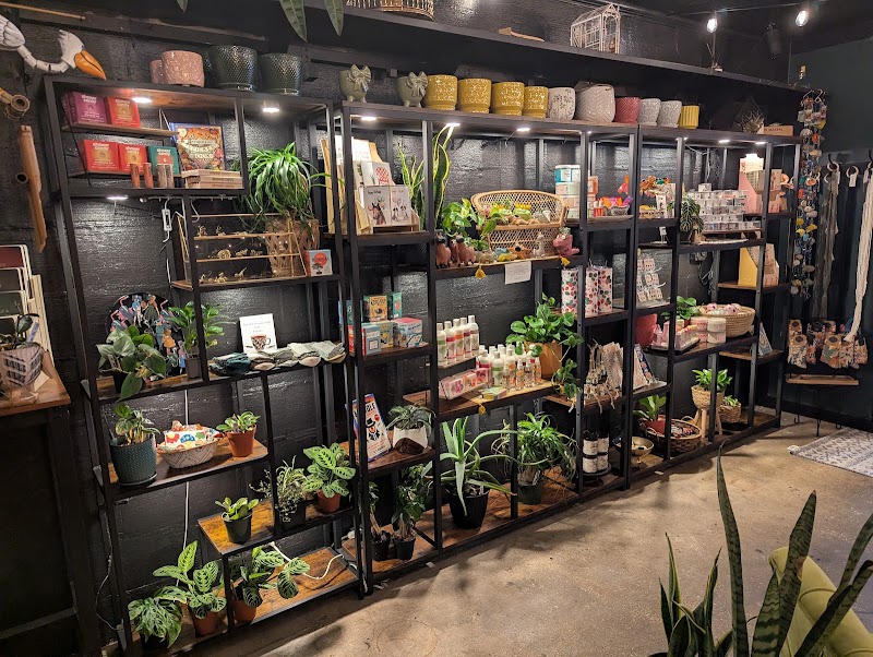 Ivy Terra Plant Cafe photo 2