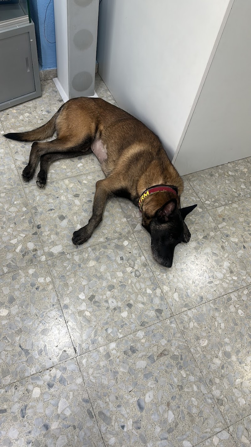 Centro Veterinario RV