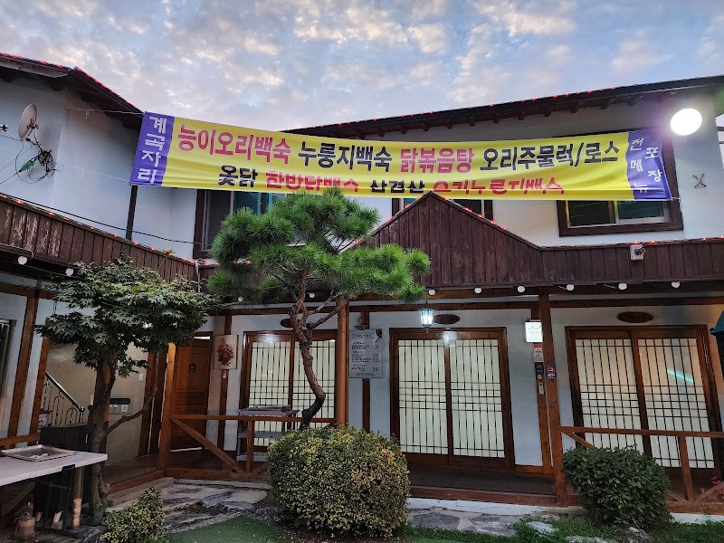 귀래정 용인시 애견맛집