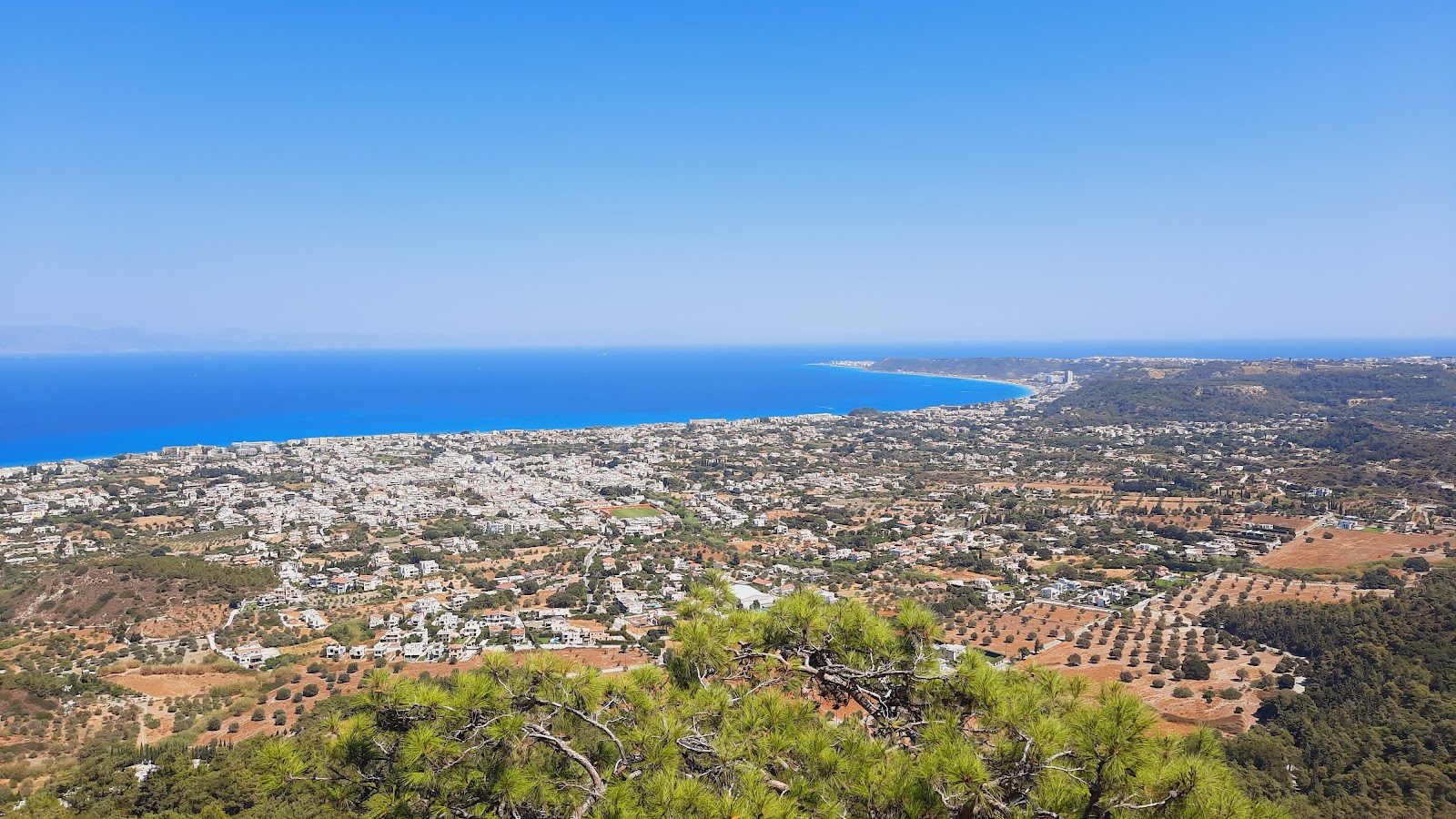 Best Dog-Friendly Hotels in Rhodes, Greece