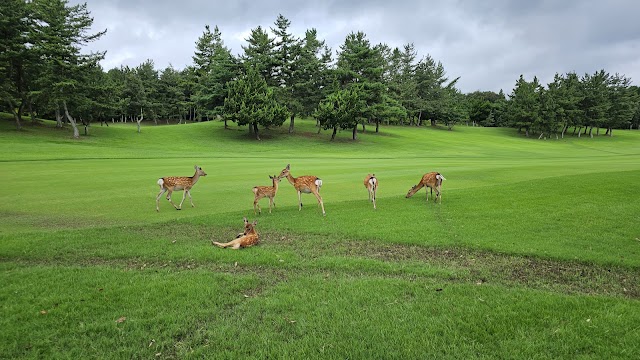Sekigahara Country Club - Photo 4
