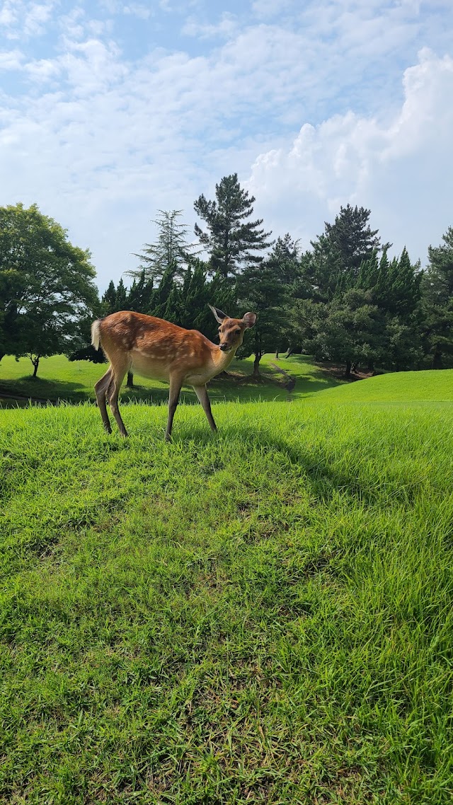 Sekigahara Country Club - Photo 5