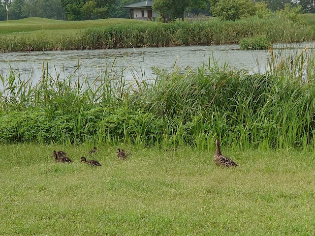 Sapporo Bay Golf Club - Photo 9