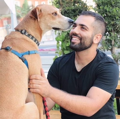 מעין פיקרי- מאלף כלבים וכלבנות טיפולית