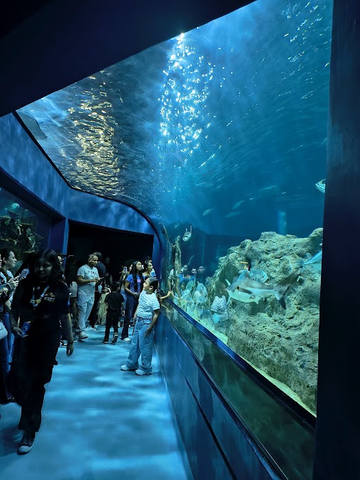 Acuario Michin Guadalajara fotoğraf 1