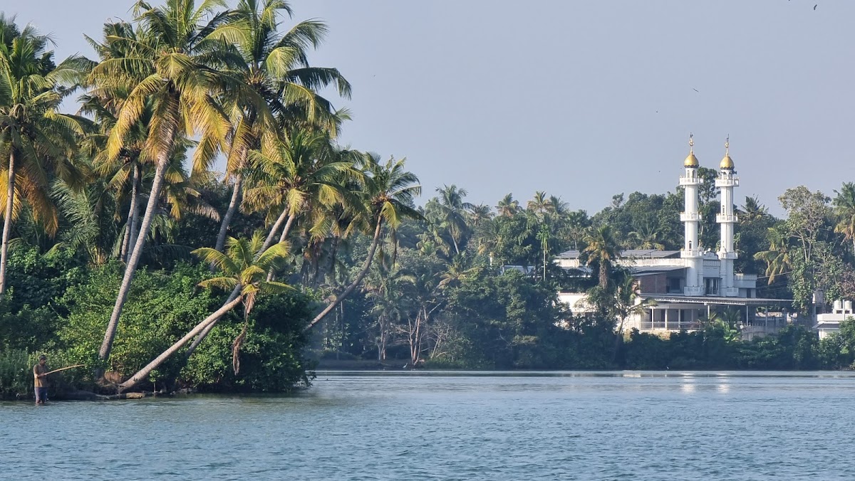 Ayushkamy Ayurveda and Yoga Retreat — 3